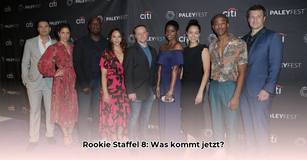 the-rookie-staffel-8
